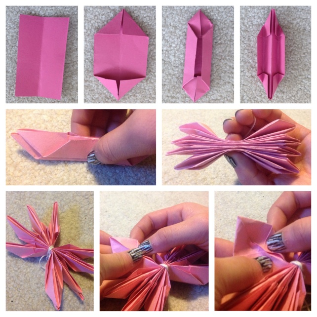 Origami Lotus 